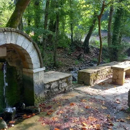 Daire Kastorio-villy's *