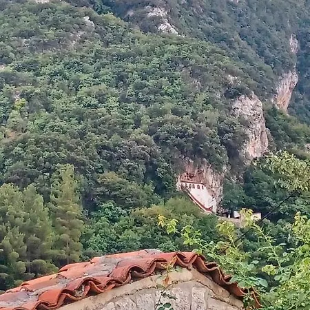 Kastorio-villy's