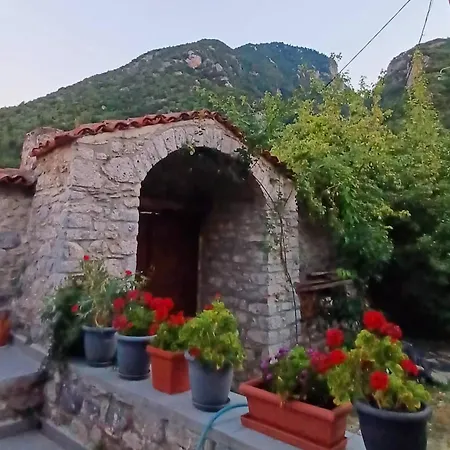Kastorio-villy's *