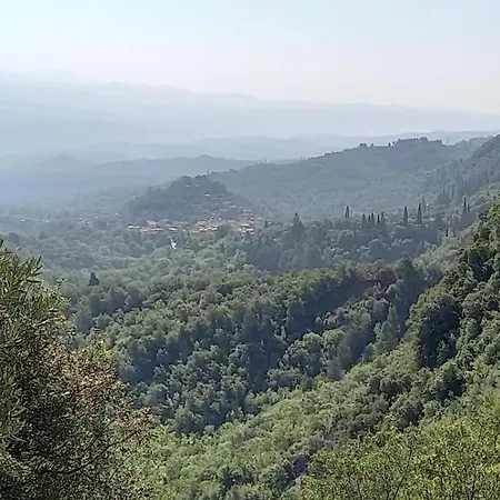 Kastorio-villy's Kastorion