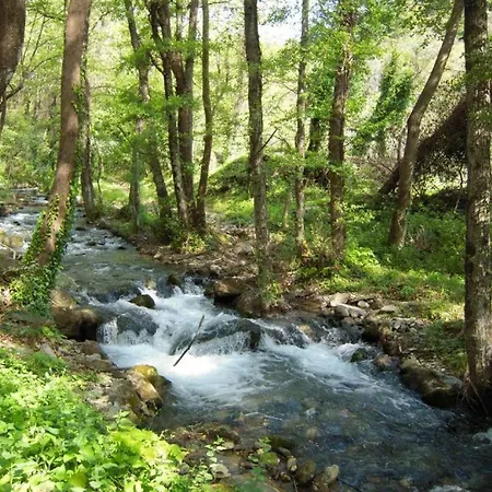 Kastorio-villy's Daire *