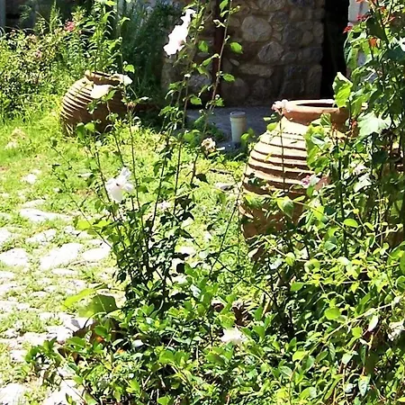 Daire Kastorio-villy's