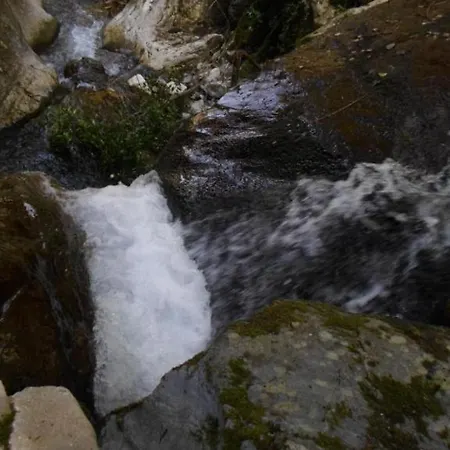 Kastorio-villy's Daire Kastorion