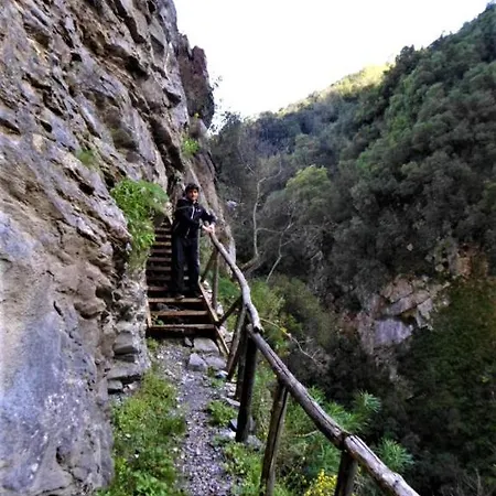 Daire Kastorio-villy's *