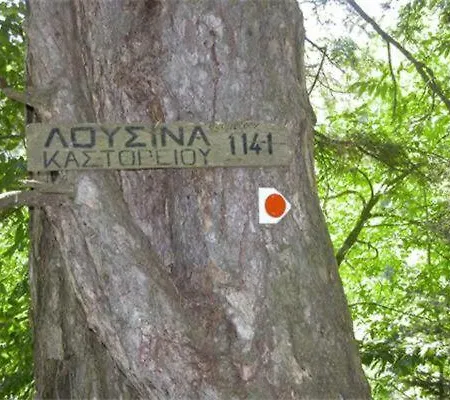 Daire Kastorio-villy's