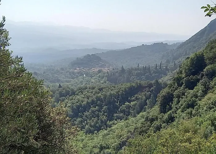 Kastorio-villy's Kastorion