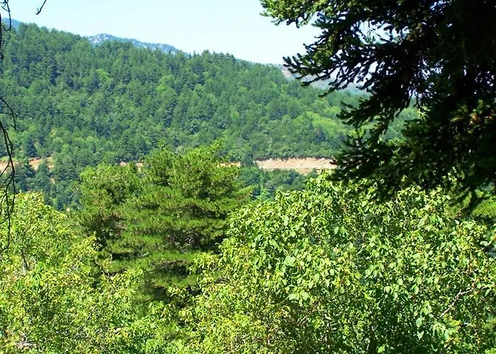 Kastorio-villy's شقة