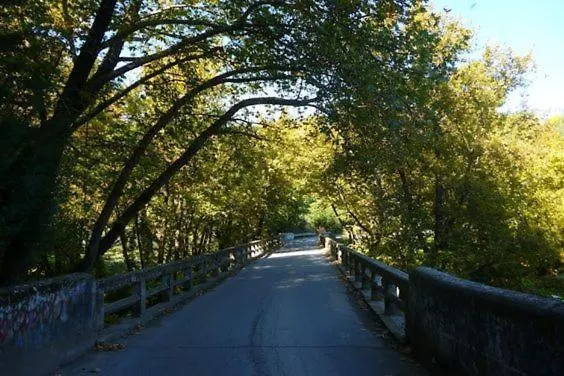 Kastorio-villy's * Kastorion