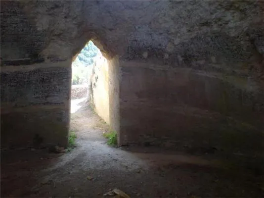 Kastorio-villy's * Kastorion